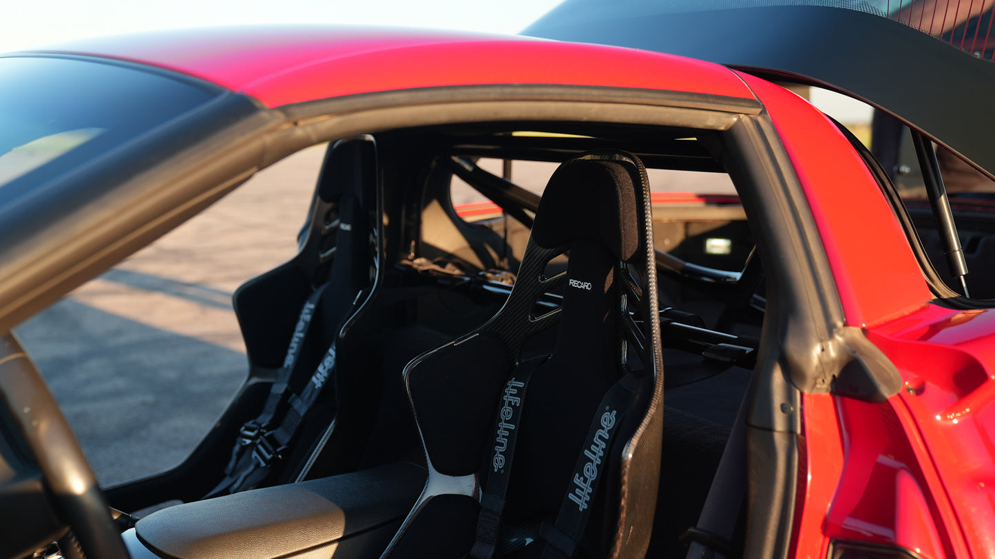 Walker Pro Motorsports Bolt in Cage