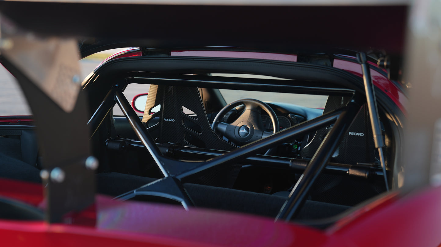 Walker Pro Motorsports Bolt in Cage