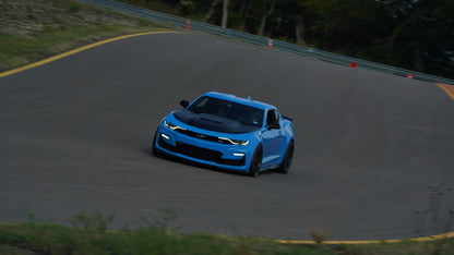 Camaro Shock Struts 10-14