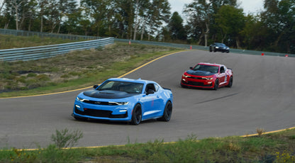 Camaro Shock Struts 10-14