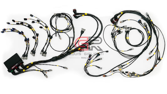 LT4 Swap Harness