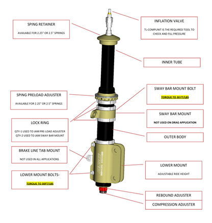 Mustang Penske Racing Shocks 99-14
